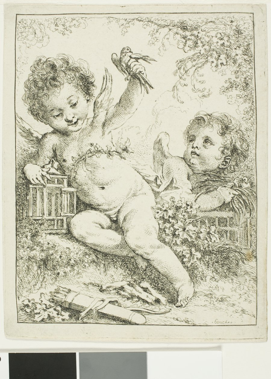 To putti med en fugl af François Boucher