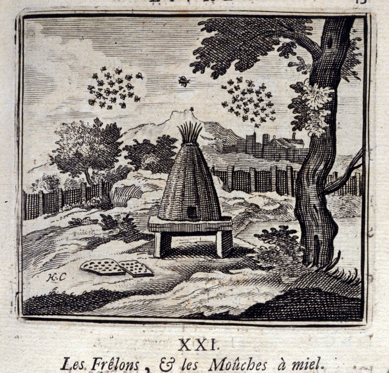 Hornets og honningfluer. Fabler af Jean de La Fontaine (1621-95). Illustration af Francois Chauveau (1613-1676). Udgave af 1728. af Francois Chauveau