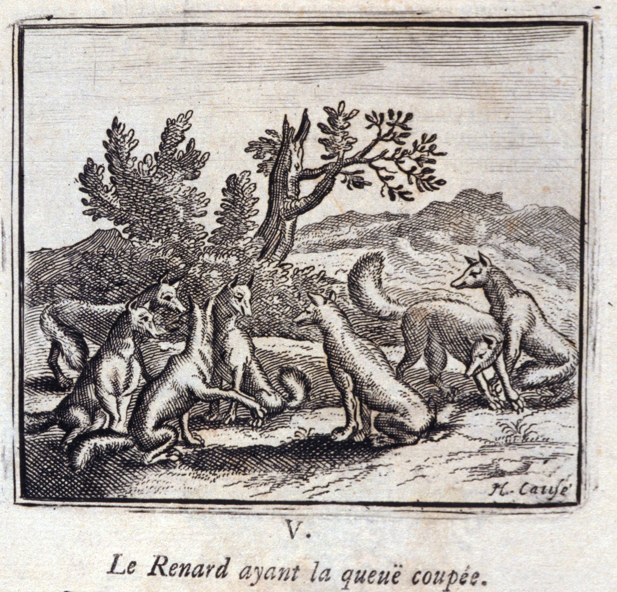 Illustration fra 