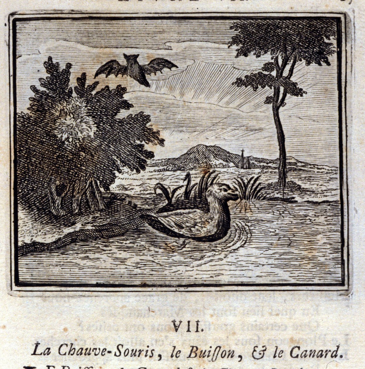 Flagermusen, Bushen og Anden. Fabler af Jean de La Fontaine (1621-95). Illustration af François Chauveau (1613-1676). Udgave af 1728. af Francois Chauveau