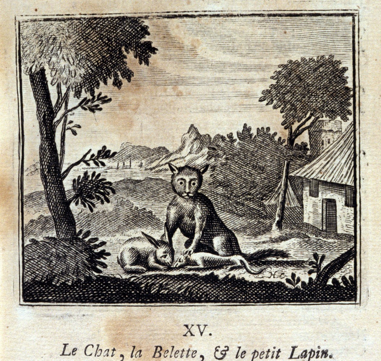Katten, væselet og den lille kanin. Fabler af Jean de La Fontaine (1621-95). Illustration af François Chauveau (1613-1676). Udgave fra 1728. af Francois Chauveau