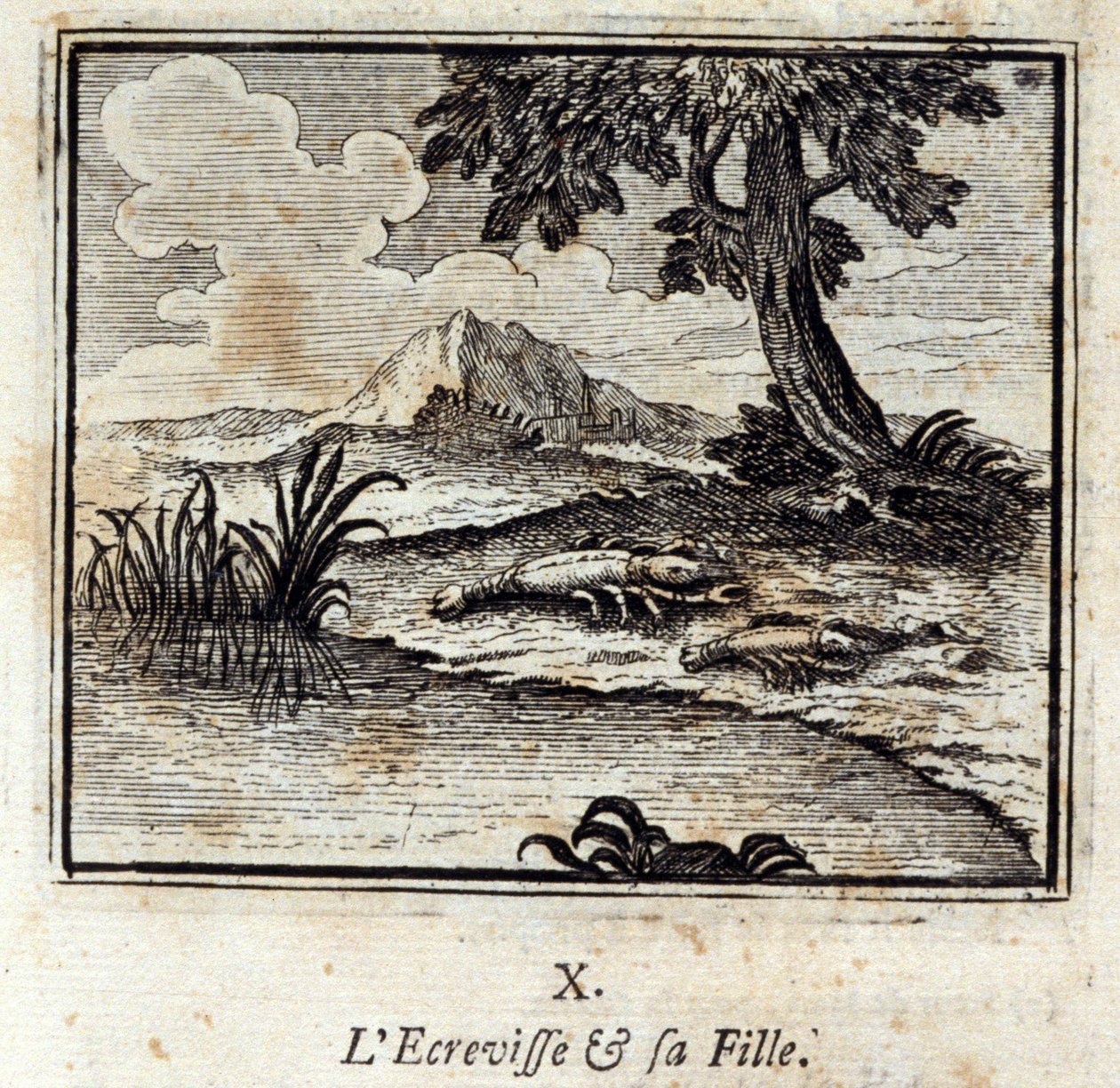The Crevisse og hans datter. Fabler af Jean de La Fontaine (1621-95). Illustration af François Chauveau (1613-1676). Udgave af 1728. af Francois Chauveau
