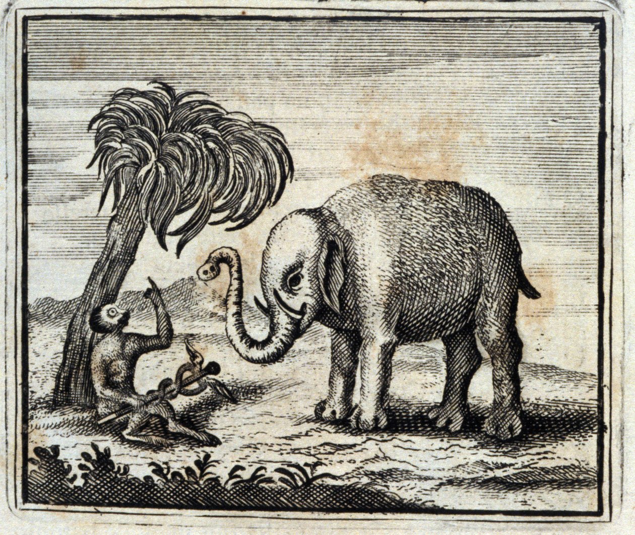 Elefanten og Jupiters aben. Fabler af Jean de La Fontaine (1621-95). Illustration af François Chauveau (1613-1676). Udgave af 1728. af Francois Chauveau