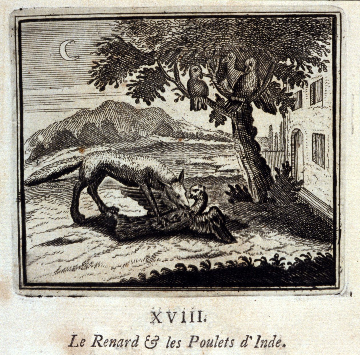 Ræven og Indiens høns. Fabler af Jean de La Fontaine (1621-95). Illustration af François Chauveau (1613-1676). Udgave af 1728. af Francois Chauveau