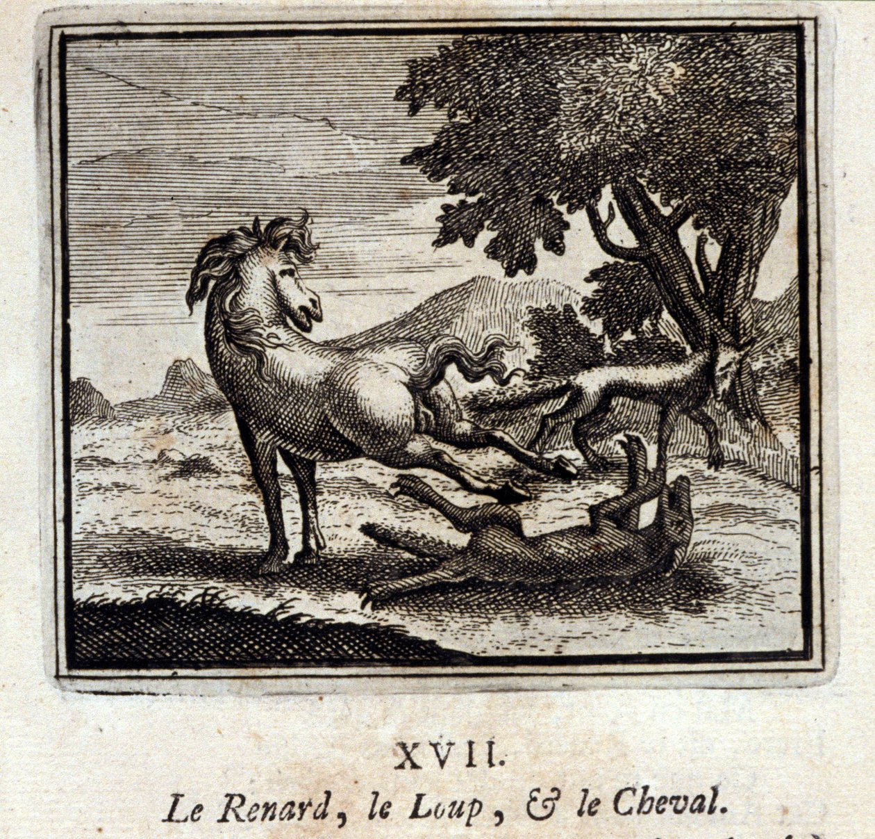 Ræven, Ulven og Hesten. Fabler af Jean de La Fontaine (1621-95). Illustration af François Chauveau (1613-1676). Udgave af 1728. af Francois Chauveau