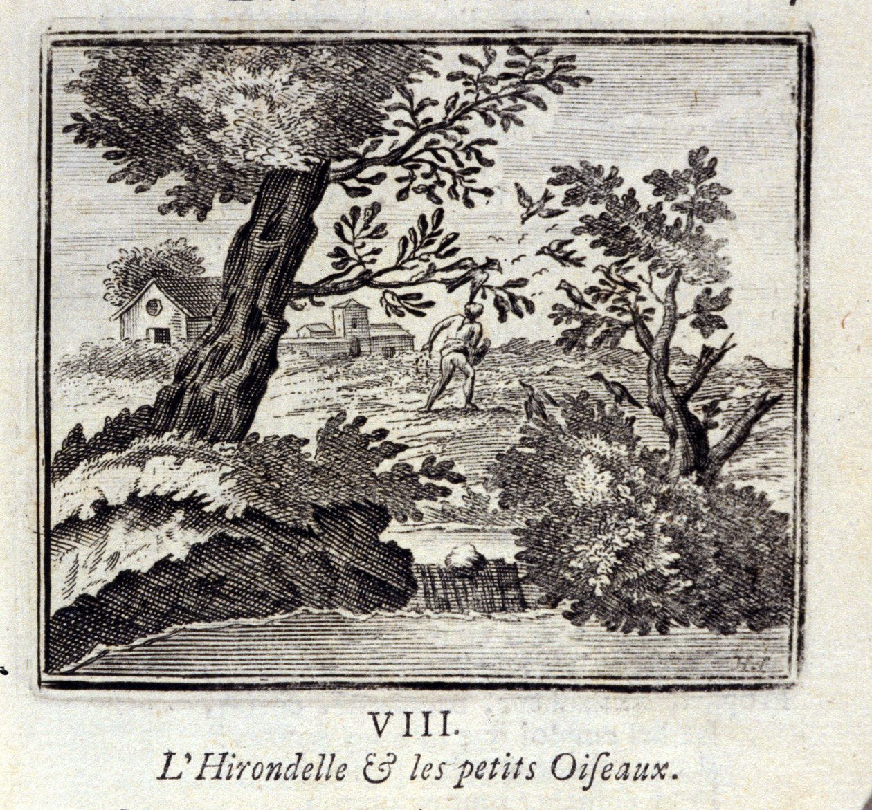 Svalen og de små fugle. Fabler af Jean de La Fontaine (1621-95). Illustration af François Chauveau (1613-1676). Udgave fra 1728. af Francois Chauveau