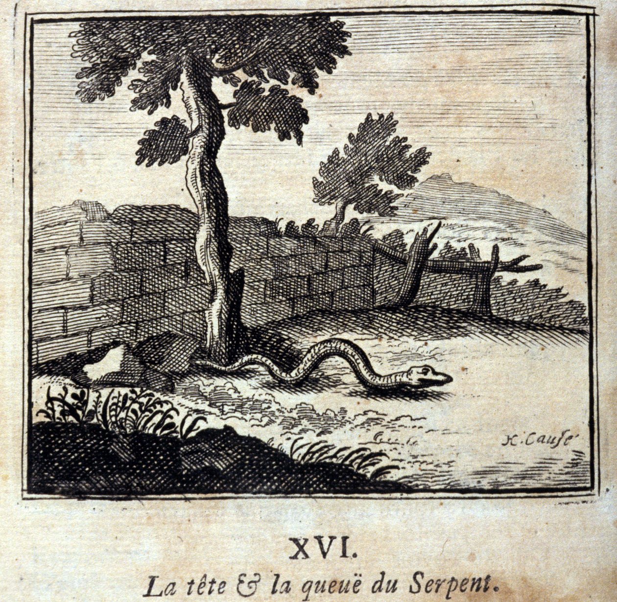 Slangens hoved og hale. Fabler af Jean de La Fontaine (1621-95). Illustration af François Chauveau (1613-1676). Udgave af 1728. af Francois Chauveau