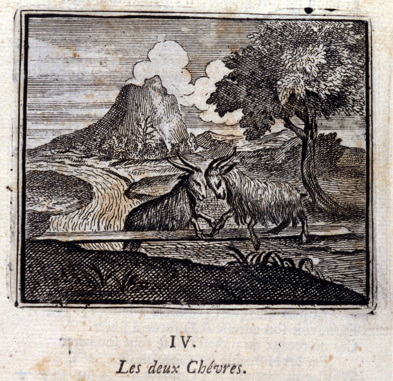 De to geder. Fabler af Jean de La Fontaine (1621-95). Illustration af François Chauveau (1613-1676). Udgave af 1728. af Francois Chauveau