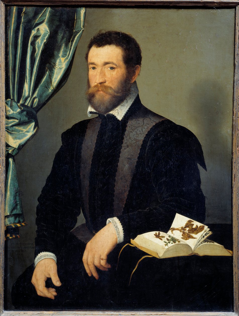 Portræt af apotekeren Pierre Quthe (1519-apres 1588) Maleri af Francois Clouet (1515-1572) 1562 Søn. 0,91x0,7 m - Portræt af apotekeren Pierre Quthe (1519- ca1588). Maleri af Francois Clouet (1515-1572) af François Clouet
