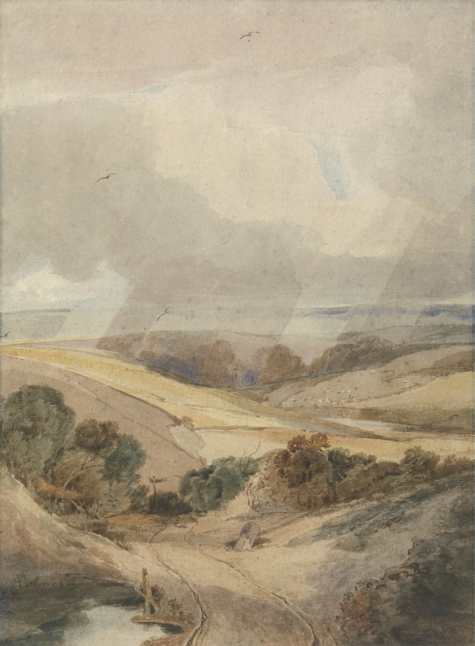 Mousehold Heath, Norwich, 1808 (wc på lagt papir) af Francois Louis Thomas Francia