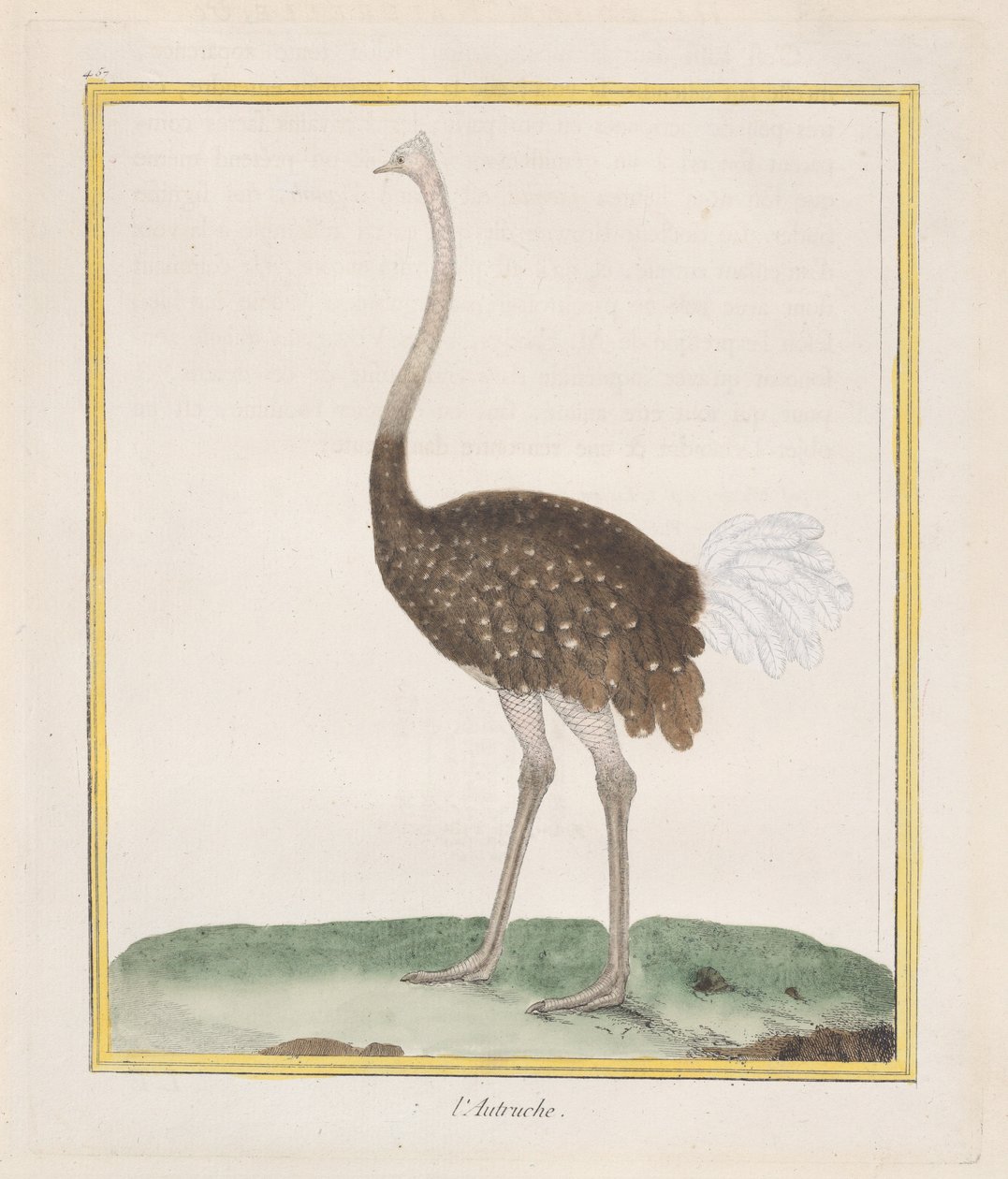 Struds Struds, 1770-86. af Francois Nicolas Martinet