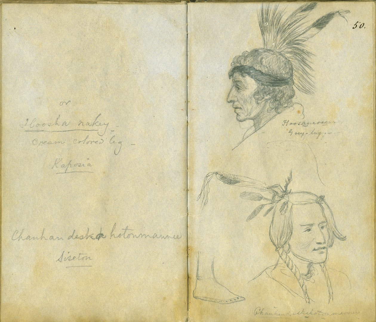 Portrætter af Grey Leg og en uidentificeret Sisseton-mand, 1851 af Frank Blackwell Mayer