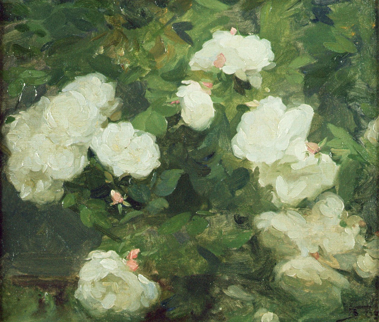 Hvide Roser af Frank Bramley