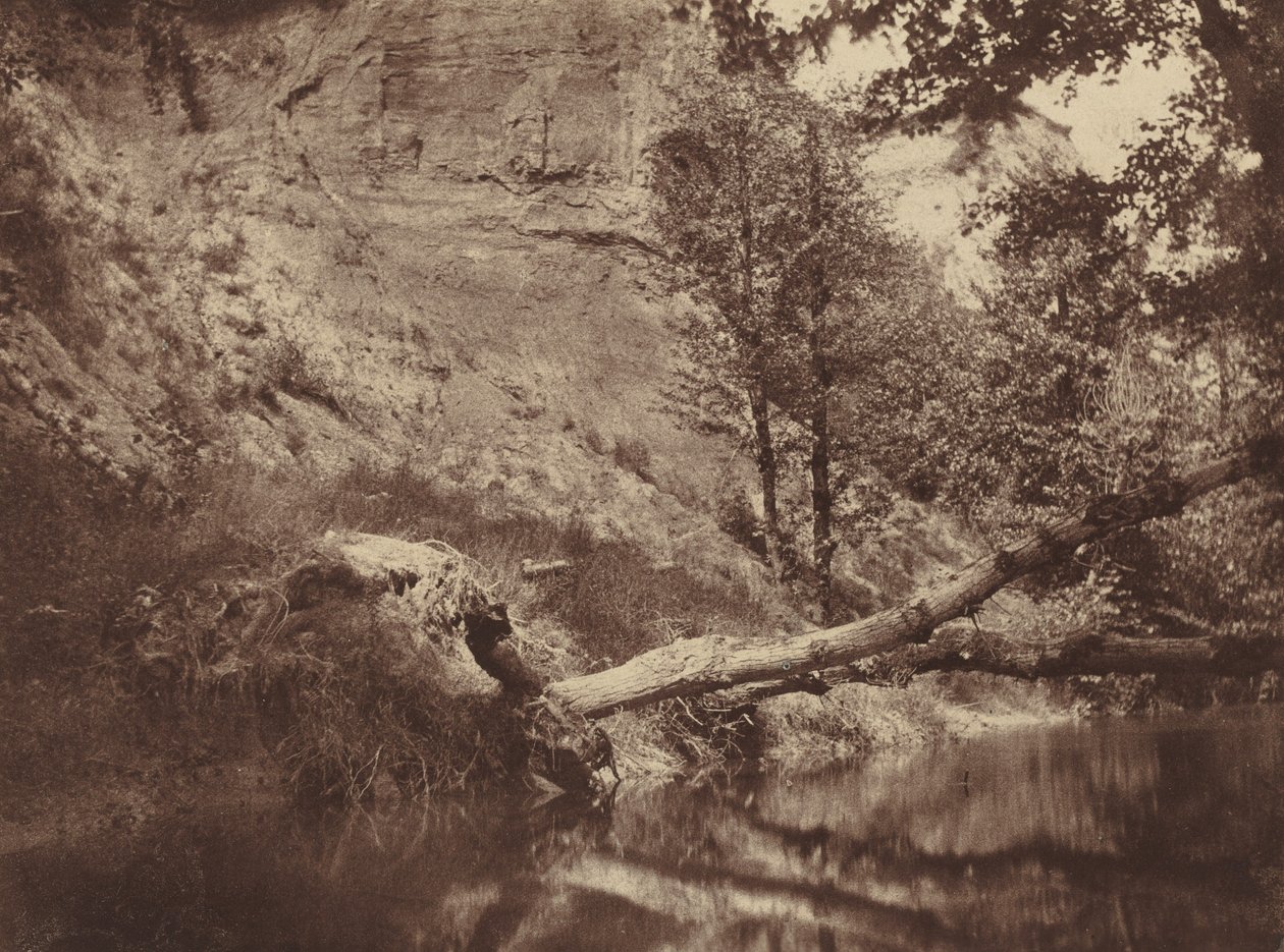 Flodbredden, ca. 1855 (foto) af Frank Chauvassaigne
