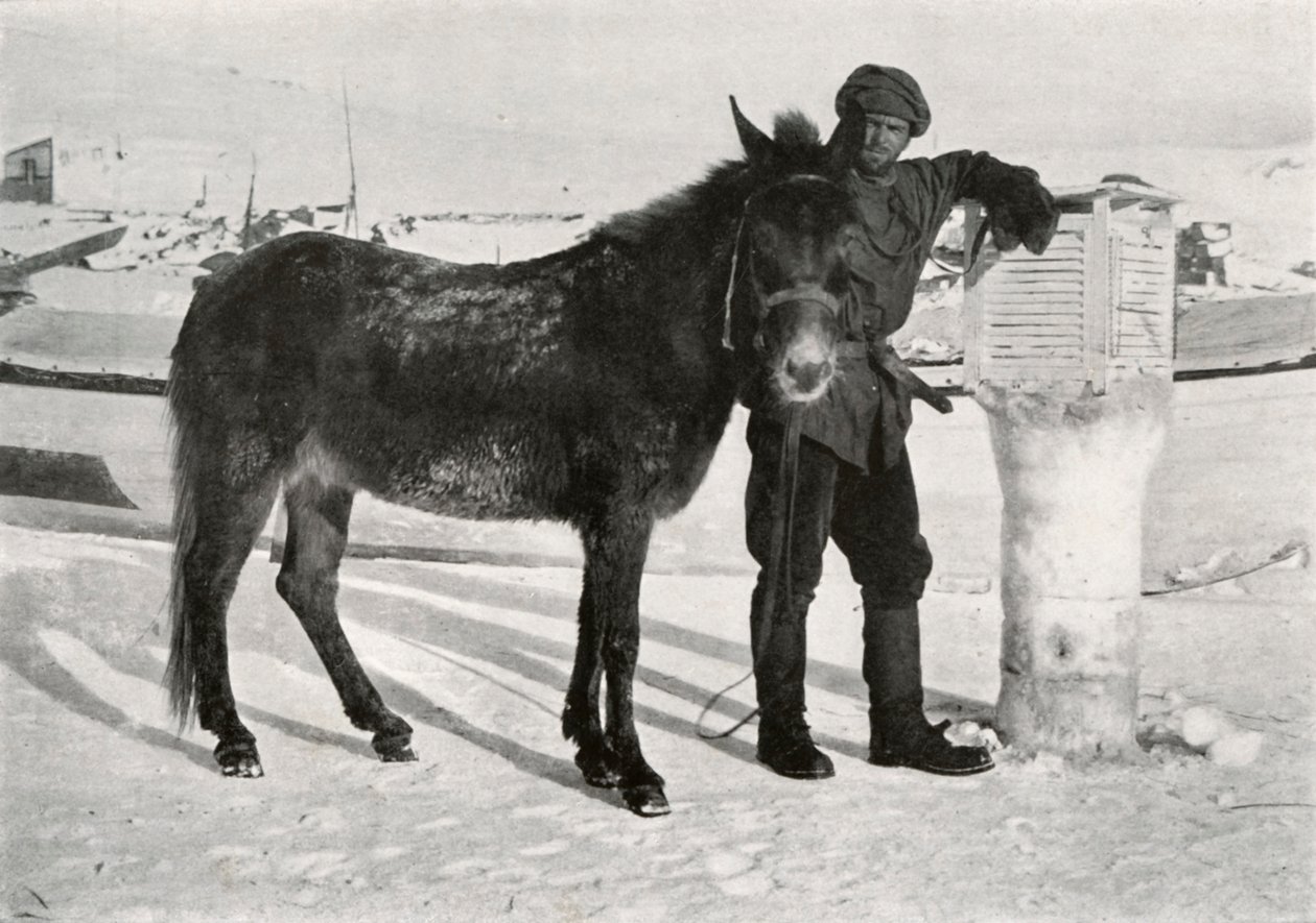 Gran med Mule Lal Khan, c1911, 1913 af Frank Debenham