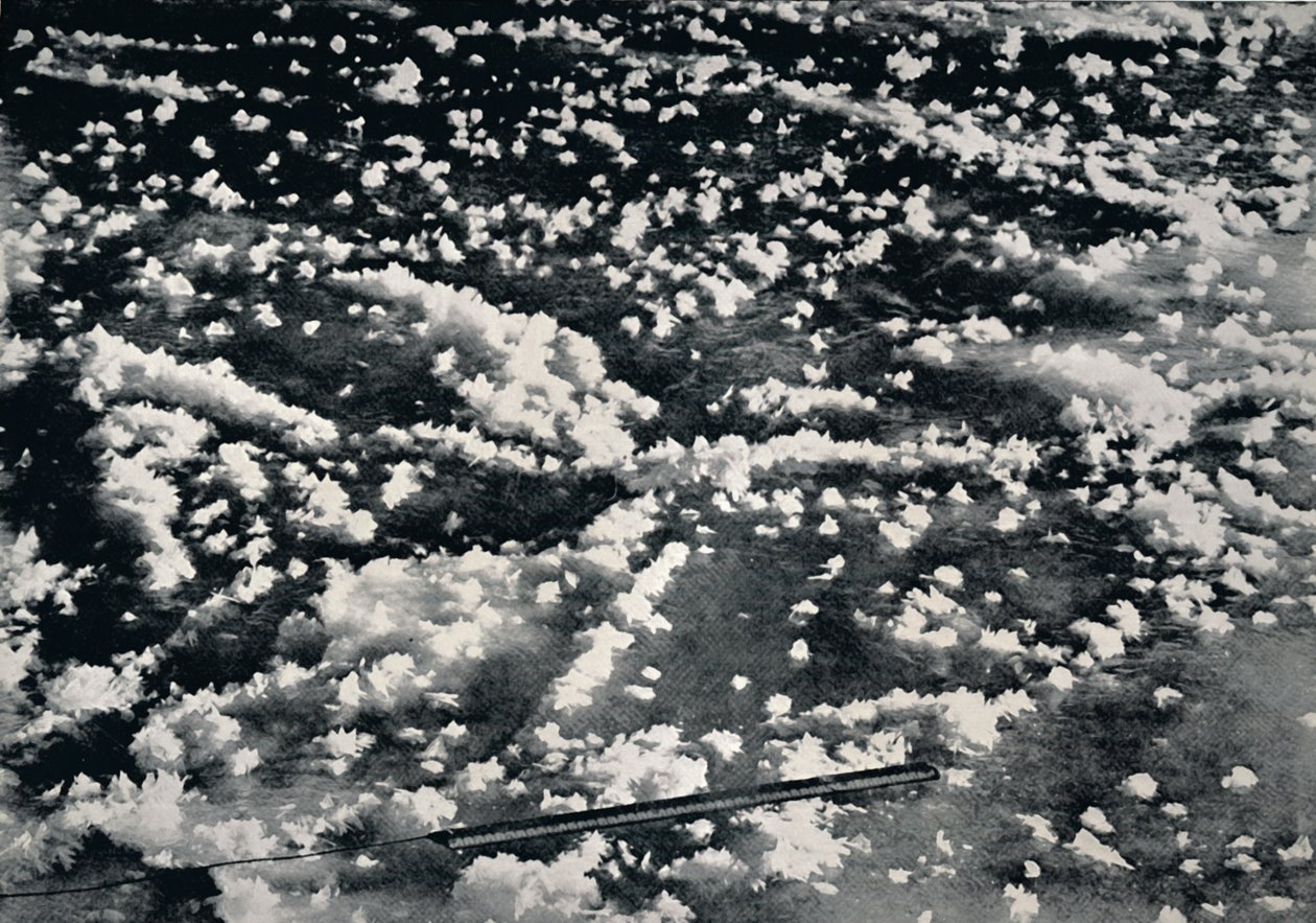 Isblomster på nydannet havis, 1912, 1913 af Frank Debenham