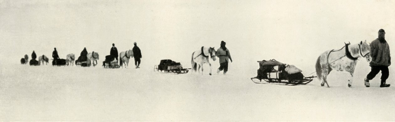 Ponyer i marts 1911, 1913 af Frank Debenham