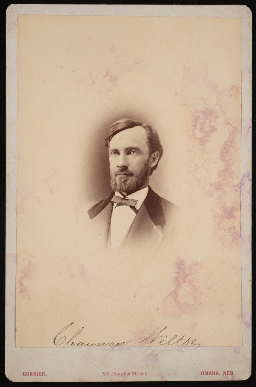 Portræt af Chauncey Wiltse 1834-1894, 1875-1876. af Frank F Currier