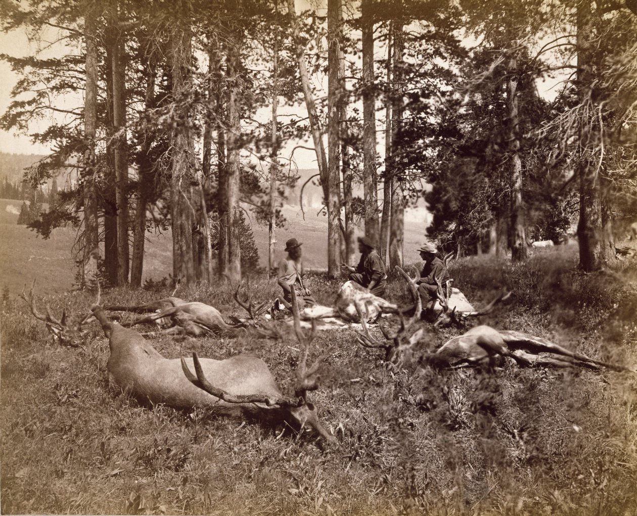 Elgjægere, Yellowstone, ca. 1880 (albumen-sølvprint) af Frank Jay Haynes