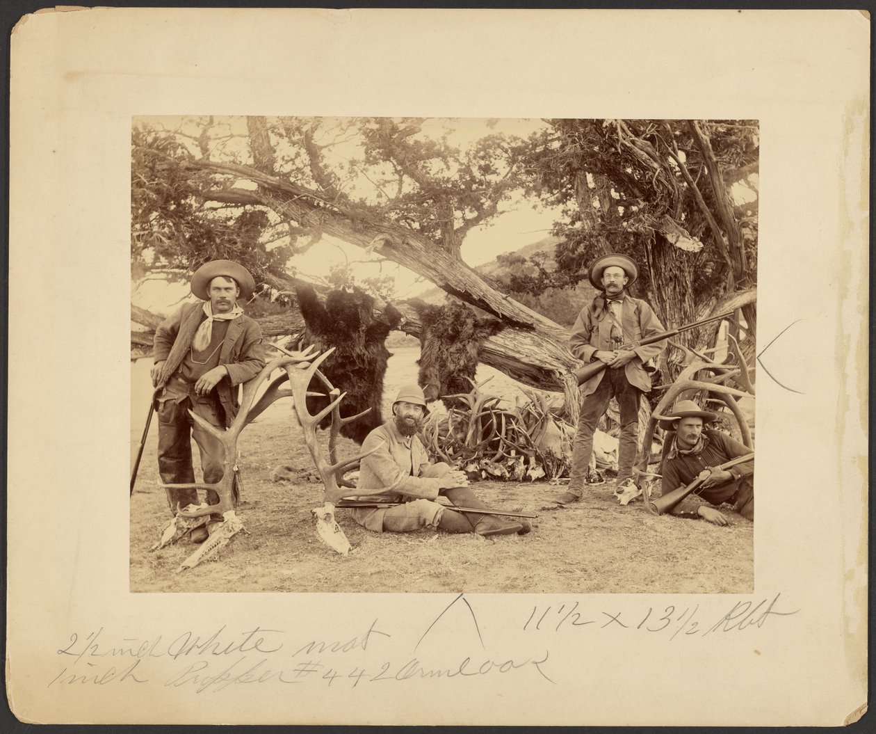 Lispenard Stewart party, #6 - 5th Ave., N.Y. med trofæer ved gammelt cedertræ, Mammoth Hot Springs, Yellowstone National Park af Frank Jay Haynes
