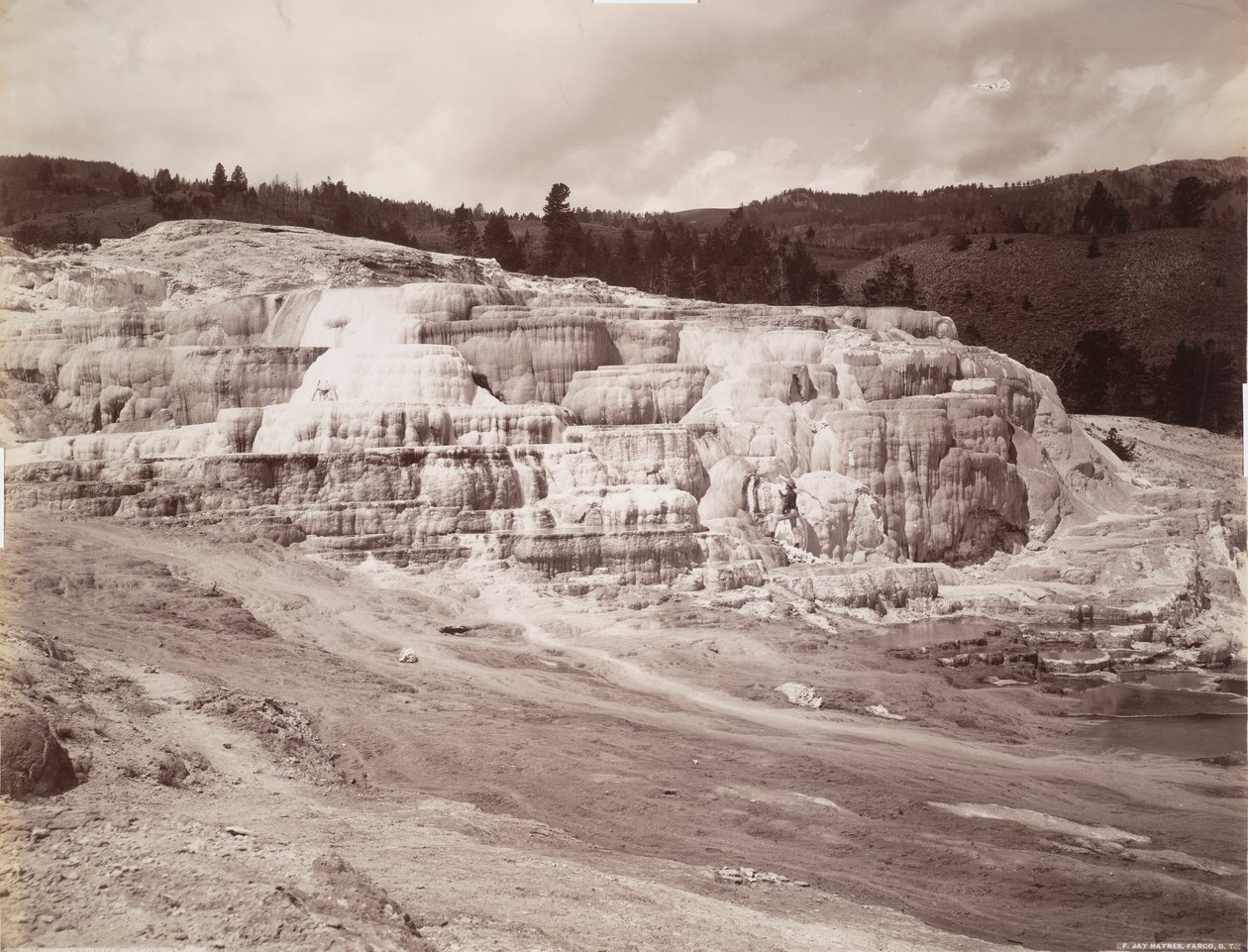 Minerva Terrace, Mammoth Hot Springs af Frank Jay Haynes