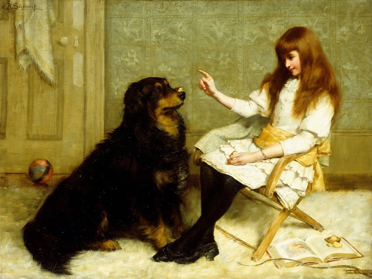 Lektionen af Frank Markham Skipworth