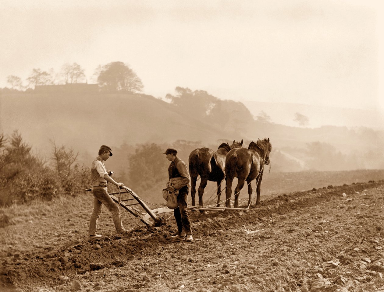 Farmers pløjer en mark på Lealholm Hall Farm, Whitby. ca. 1889 af Frank Meadow Sutcliffe