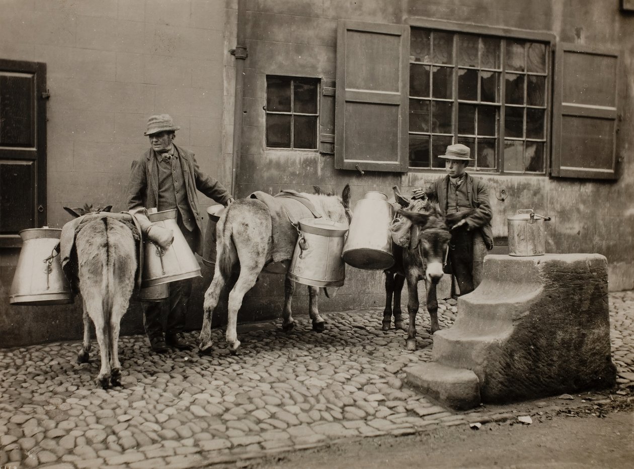 Mælkeæsler, ca. 1890. af Frank Meadow Sutcliffe