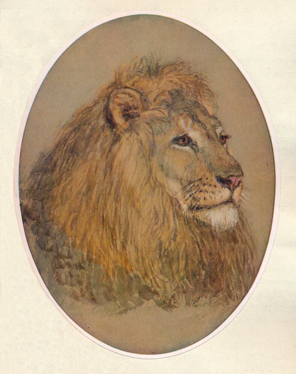 Lions Head, c1896 af Frank Paton