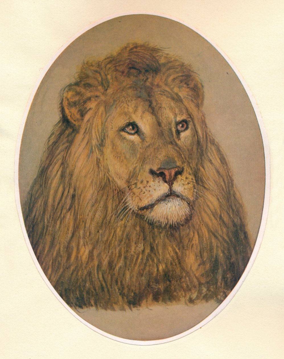 Lions Head, c1896 af Frank Paton