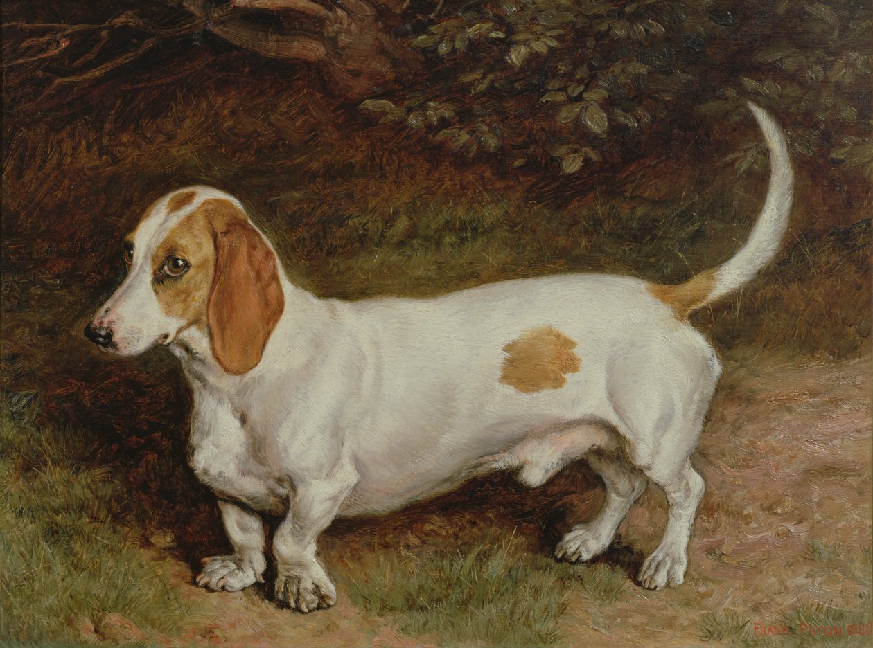 Min yndlingsgravhund, 1885 af Frank Paton