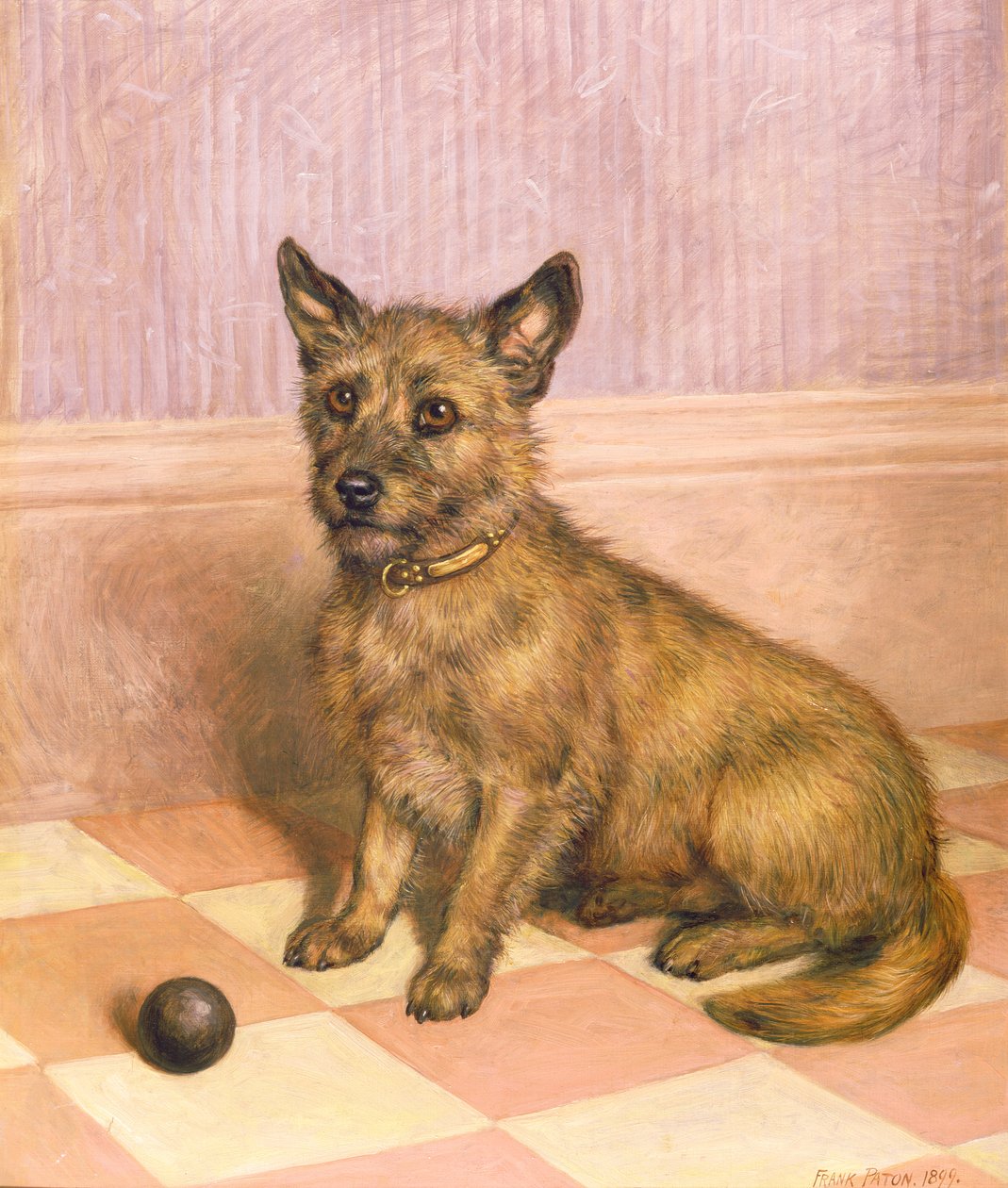 Venter på at spille, en Cairn terrier med en bold (olie) af Frank Paton