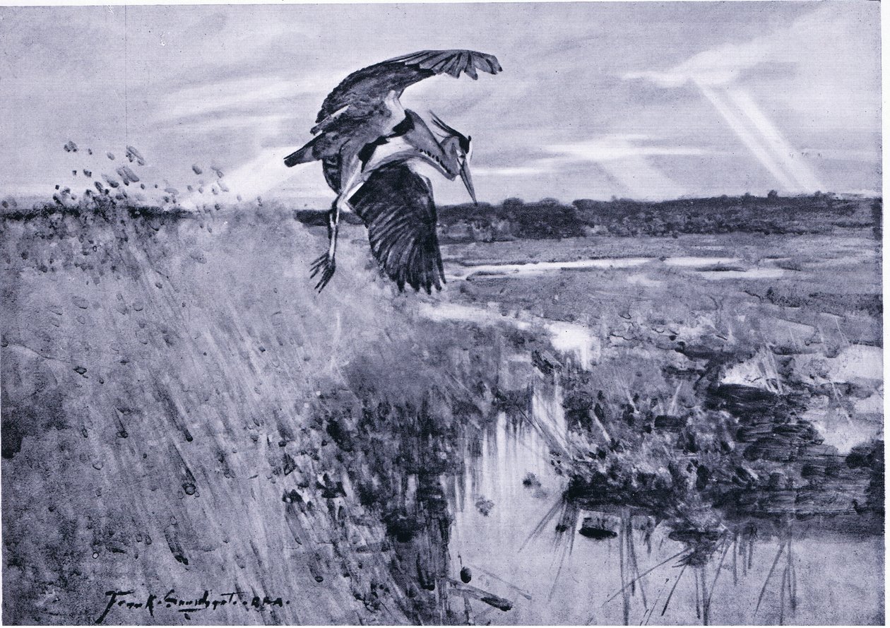 Jack Harnser-Heron af Frank Southgate