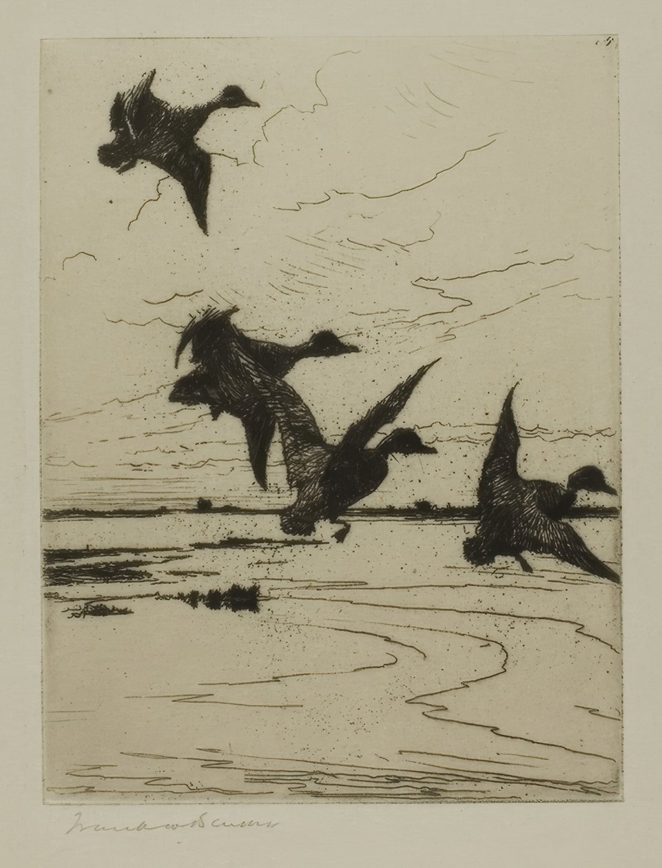 Landende Enten af Frank Weston Benson