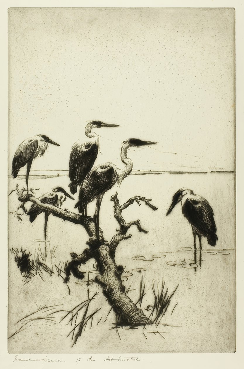 hvilende hejrer af Frank Weston Benson