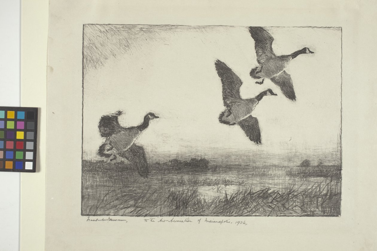 Tre gæs (blæk på papir) af Frank Weston Benson