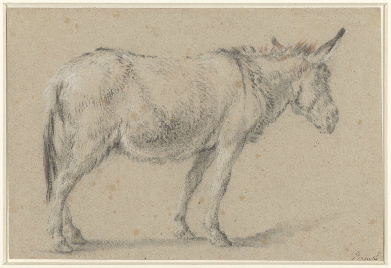 Stående æsel, vendt mod højre af François Boucher (possibly)