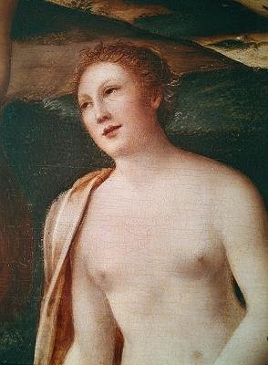 Buste of a Nymph, detalje fra Diana Bathing af François Clouet
