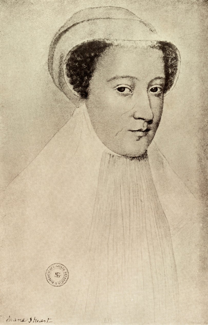 Mary Queen of Scots, 1909 af François Clouet