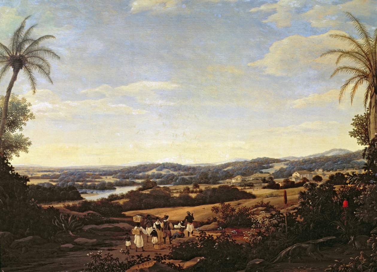 Brasiliansk landskab med en plantage af Frans Post