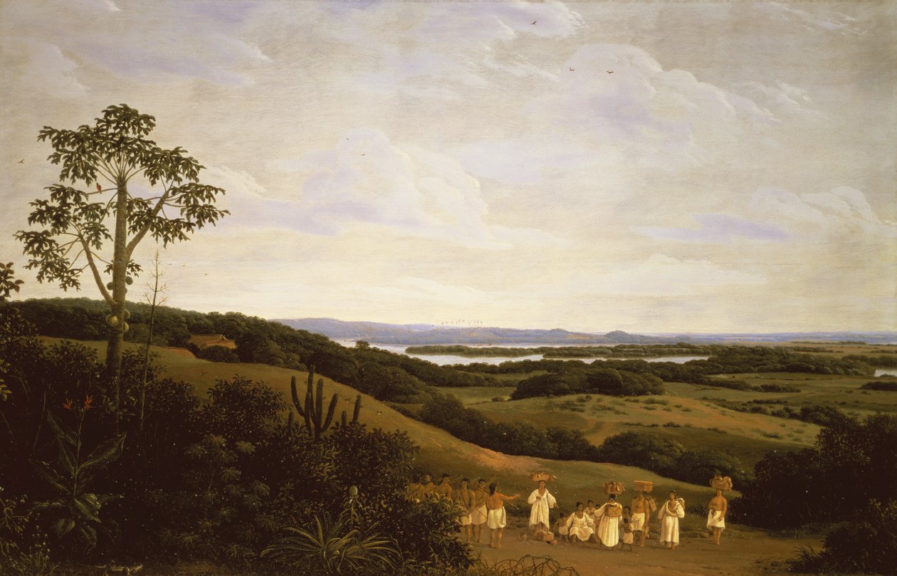 Panoramaudsigt i Brasilien med en flod i det fjerne (par 61465) af Frans Post