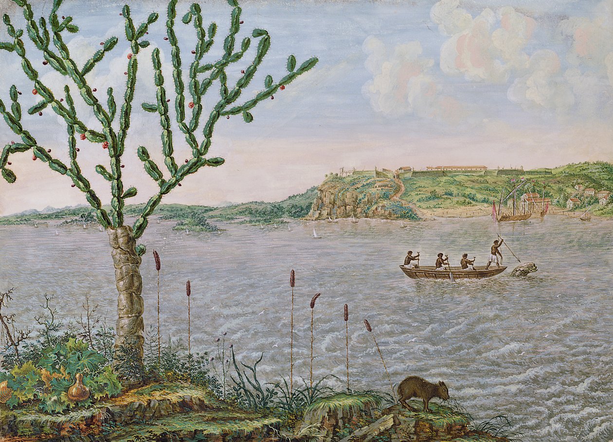 Udsigt over Fort Maurice ved Rio San Francisco (pen og blæk og wc på papir) af Frans Post