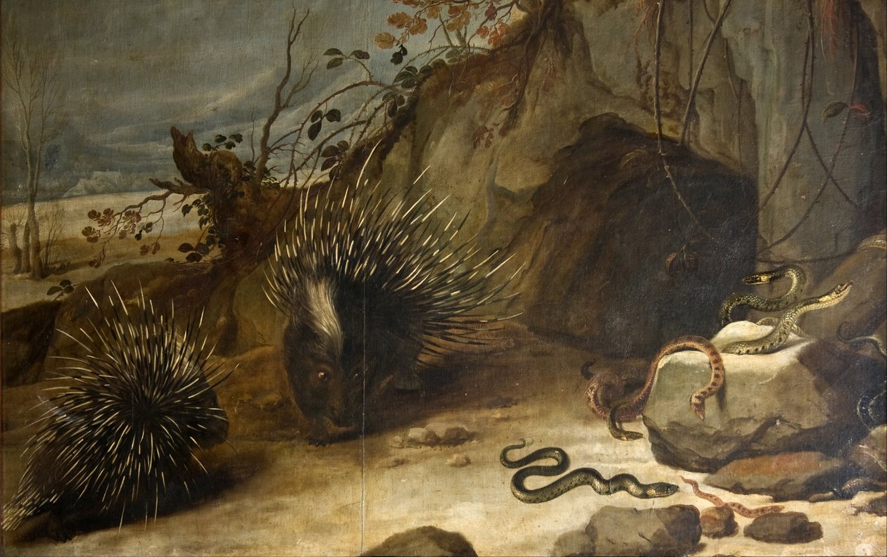 Pindsvin og hugorm af Frans Snyders or Snijders