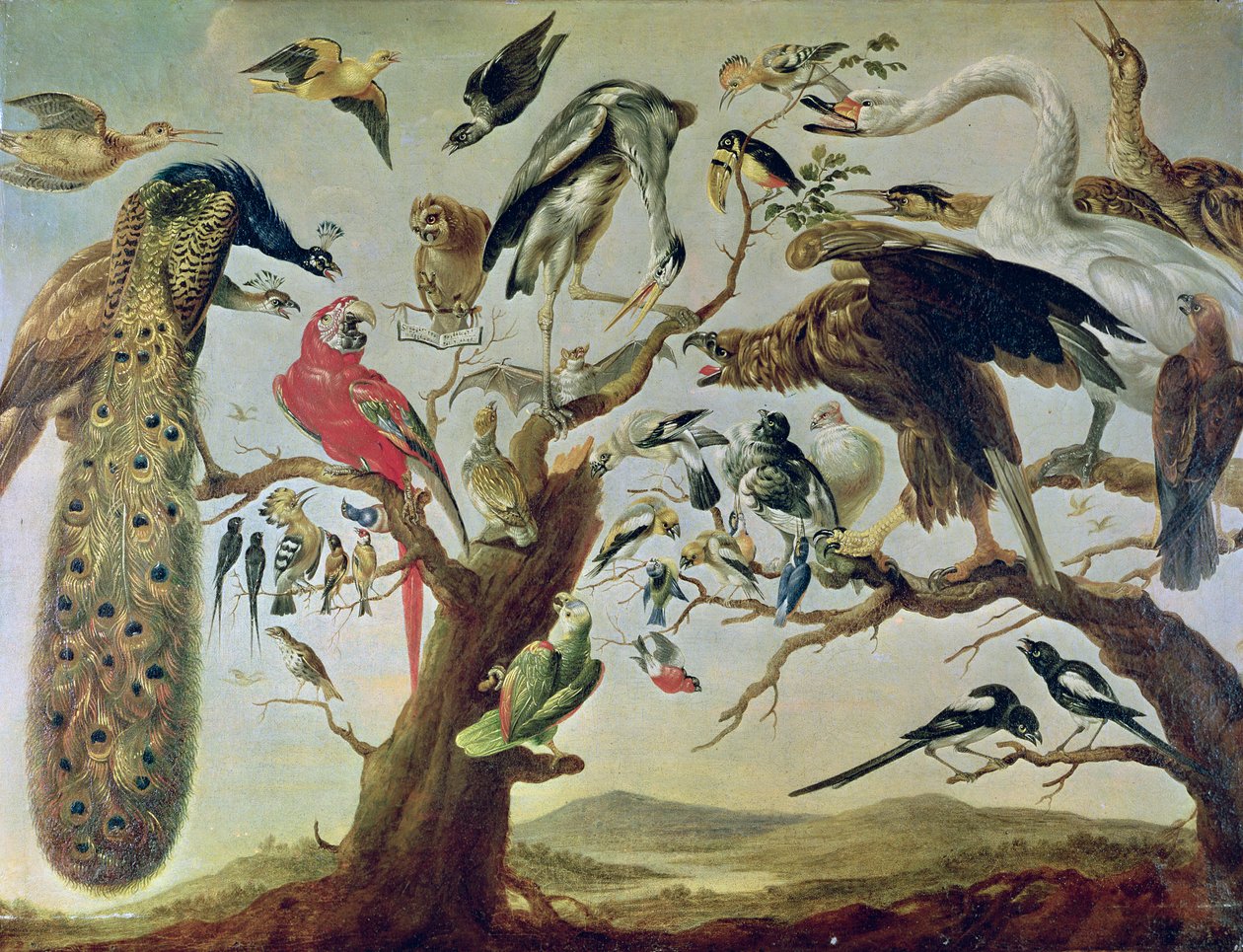 Fuglens koncert af Frans Snyders or Snijders