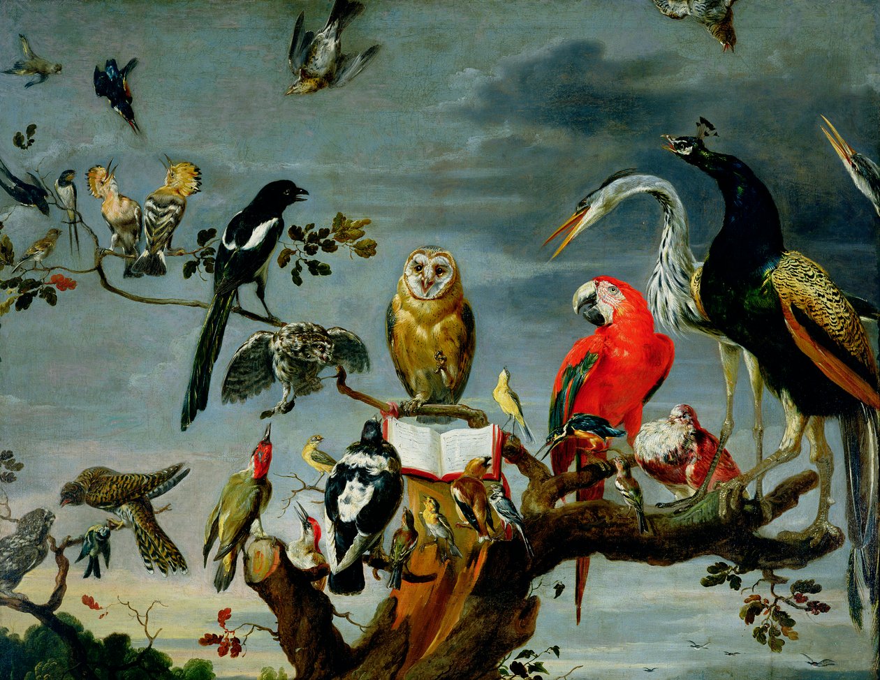 Koncert af fugle af Frans Snyders or Snijders