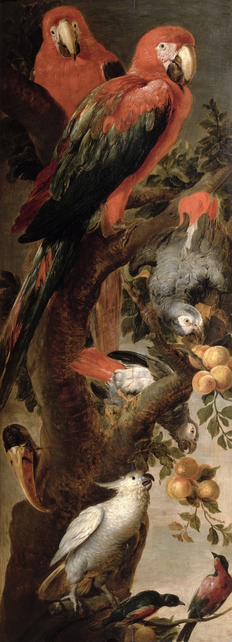 Arer og papegøjer af Frans Snyders or Snijders