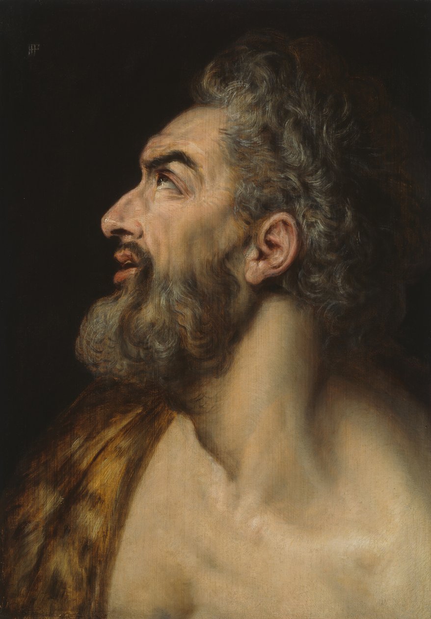 Studieleder af en skægget mand, ca. 1565. af Frans Floris