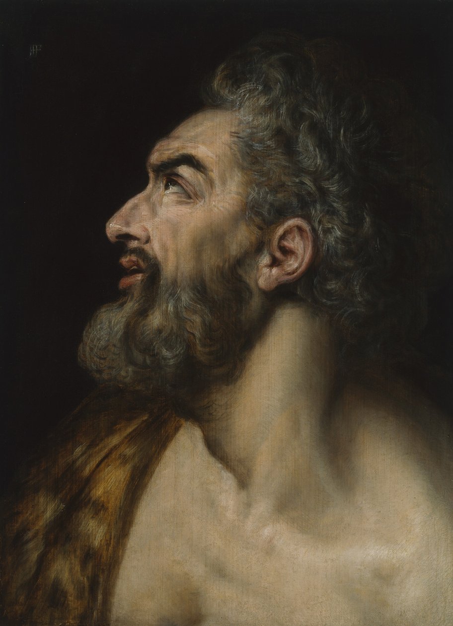 Studiehoved af en skægget mand, ca. 1565 (olie på panel) af Frans Floris