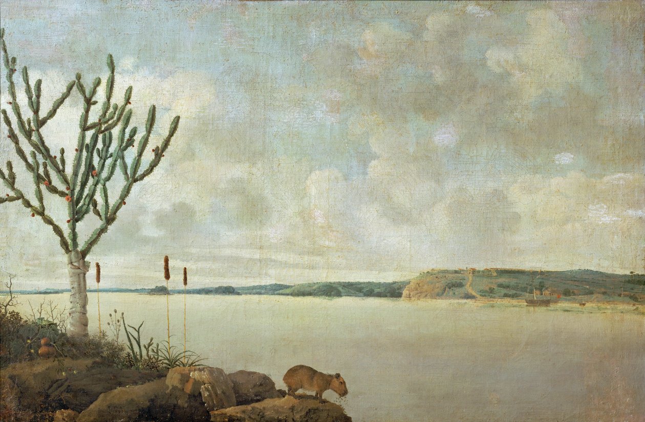 Le Rio Sao Francisco og Fort Maurice, Brasilien ... af Frans Jansz Post