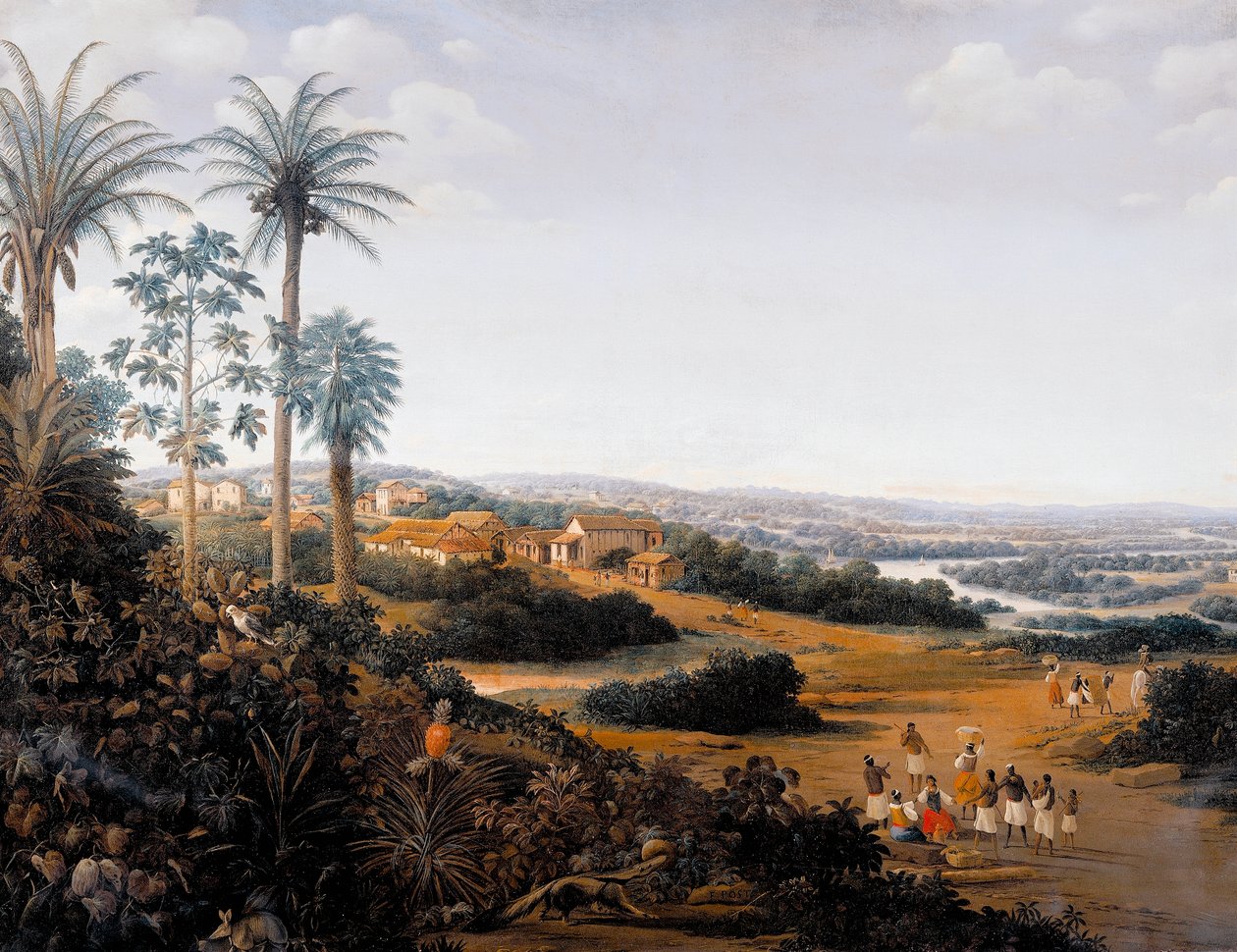 Serinhaem landsby i Brasilien eller hjemmet til en sukkerrørsplanter i Brasilien (olie på lærred) af Frans Post